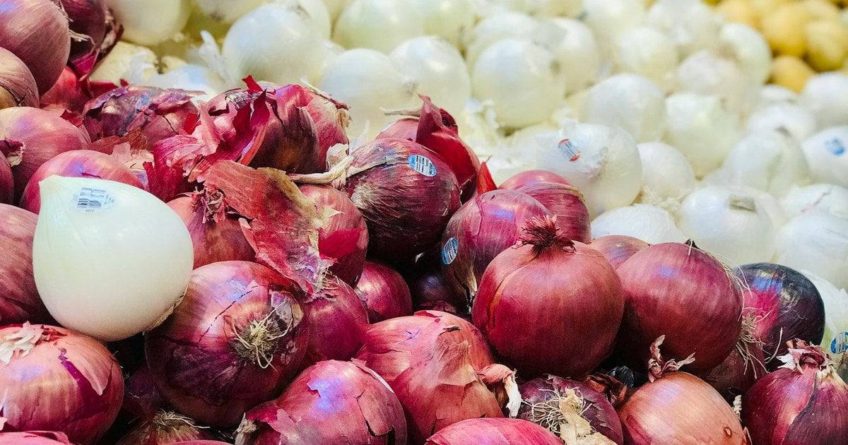 Ktorá cibuľa je najzdravšia pre každodennú stravu